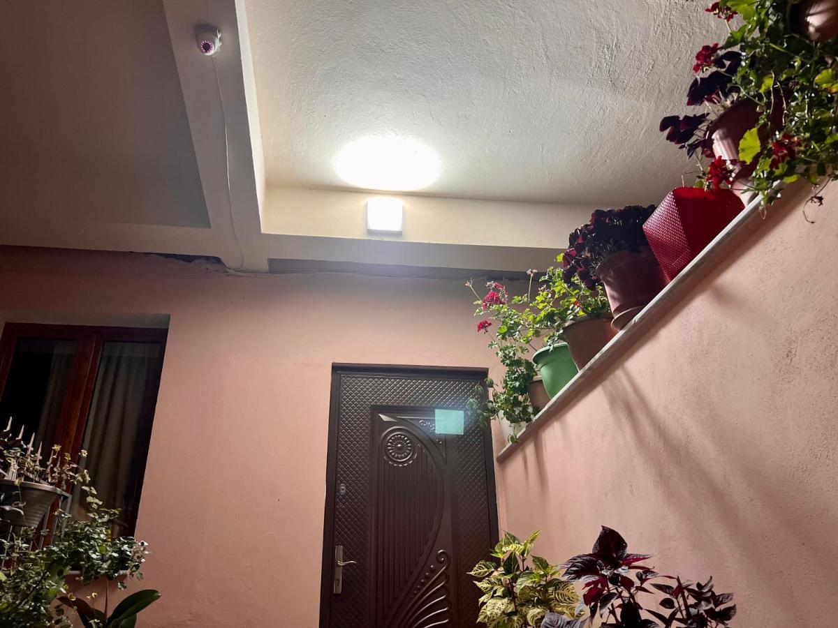 Villa Ensalv Berat - Apartment - Room - Penthouse Kültér fotó